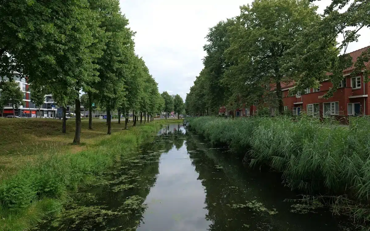 Met gerichte aandacht werkt de therapeute aan spanning in de onderarm — een rustige, professionele behandeling in een ontspannen omgeving.
